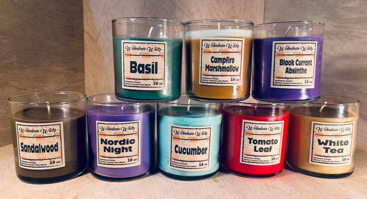 10 oz Candles - Coconut Apricot Wax