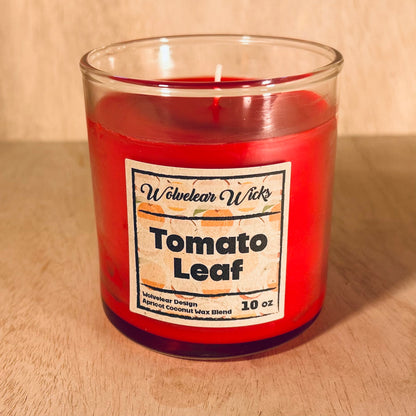 10 oz Candles - Coconut Apricot Wax